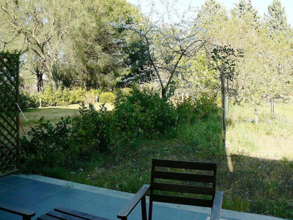 Etna Holiday Home Nicolosi Exterior photo