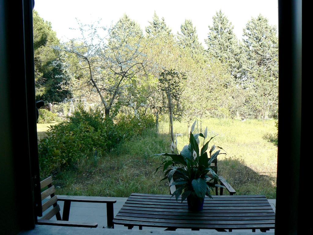 Etna Holiday Home Nicolosi Exterior photo